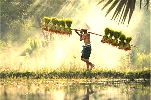 夢見旅遊被查是什麼預兆_周公解夢官網