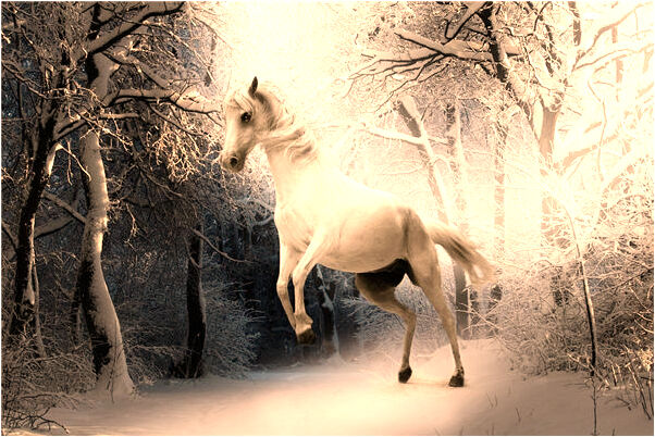 夢到收拾陪嫁物品打算離婚是什麼預兆_周公解夢官網