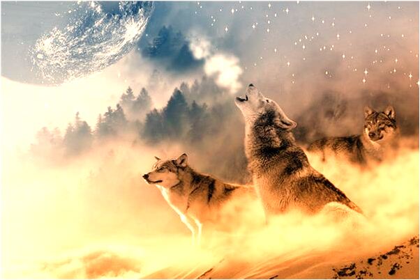 夢到了自己掉頭髮變成禿頭預示著什麼_周公解夢官網