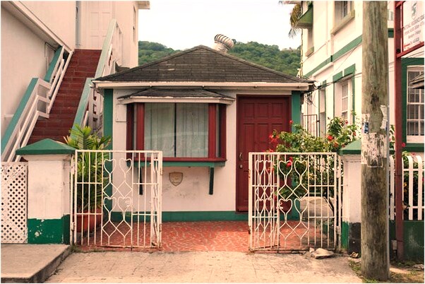 夢見大貓領小貓是什麼意思？_周公解夢官網