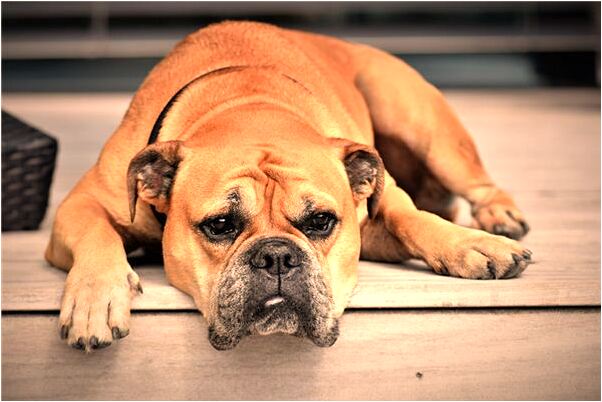 夢到喝死人酒預兆了什麼嗎_周公解夢官網