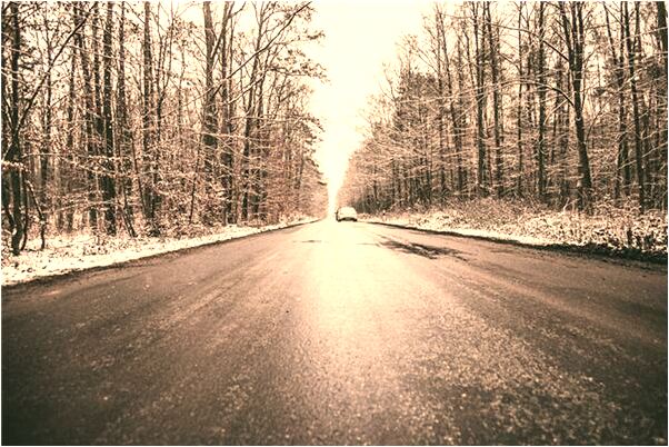 夢到健壯的犄角黃牛會有什麼預兆_周公解夢官網