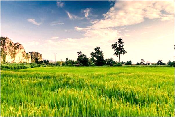 夢到開賓士車是好是壞_周公解夢官網