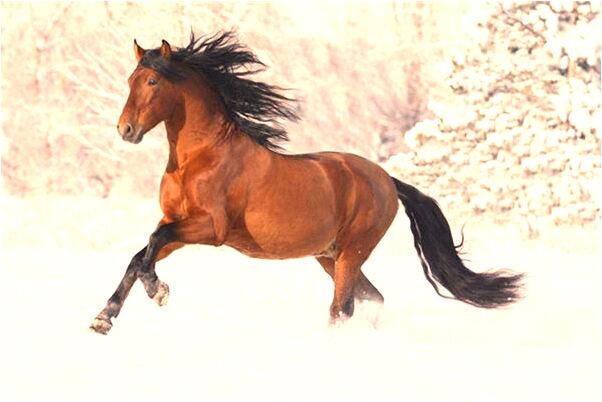 夢到了沒死的人的墳頭是什麼兆頭_周公解夢官網