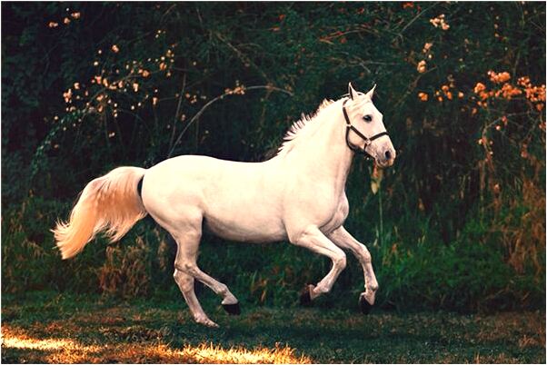 夢到了主管跟我一起收貨點數是啥意思_周公解夢官網