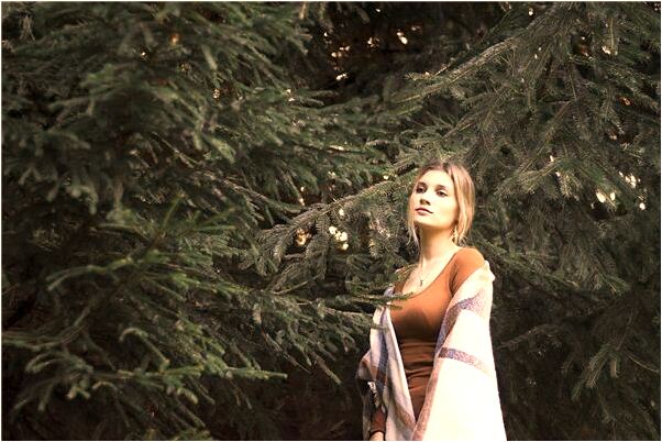 夢到黃牛母子是好是壞_周公解夢官網