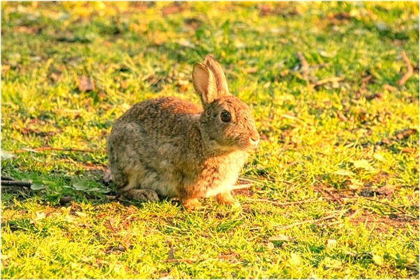 夢到痕痕痕老公腳上有傷痕有什麼意思_周公解夢官網