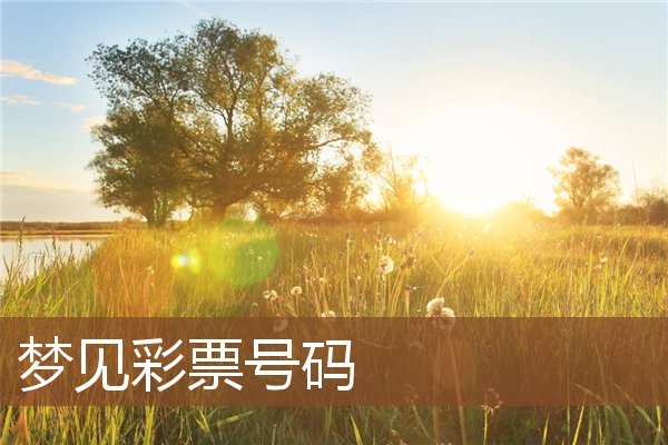 夢見彩票號碼_周公解夢