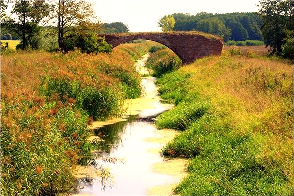 夢到了自己生了男孩家人不知道有什麼說法_周公解夢官網
