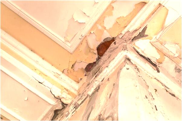 夢到了朋友幫自己拔白頭髮會有什麼預兆_周公解夢官網