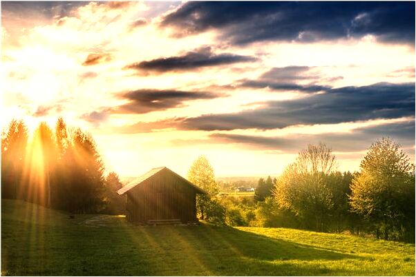 夢見兩個舊的粗糙單人純木床是什麼啟示_周公解夢官網