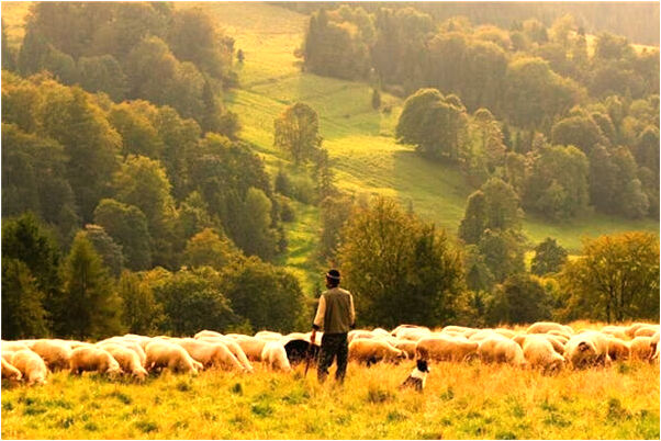 夢到好多帽子有什麼意義嗎_周公解夢官網