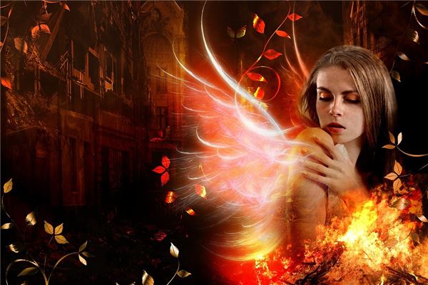 夢到了白色鳳凰是好的徵兆嗎_周公解夢