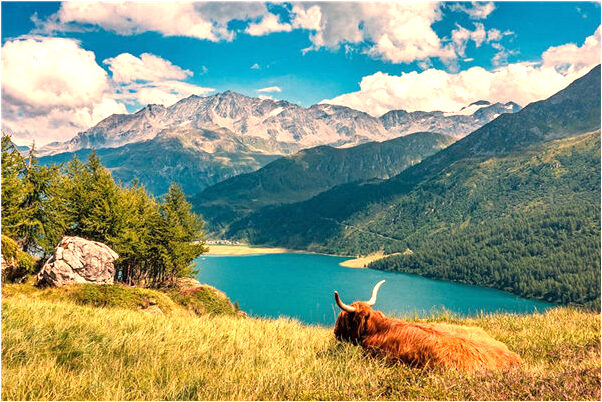 夢見耳朵里吹出一大蟲是什麼徵兆_周公解夢官網