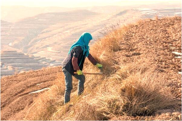 夢見自己是個丫鬟有什麼預兆_周公解夢官網