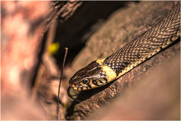 夢到了自己老婆和別人勾搭上了是啥意思_周公解夢官網