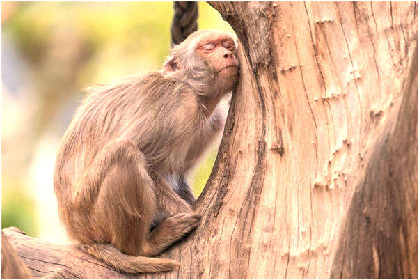 夢到不小心把別人砸流血預示什麼_周公解夢官網