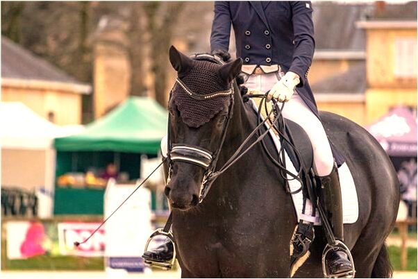 夢見豬開膛破肚的場景是什麼意思_周公解夢官網