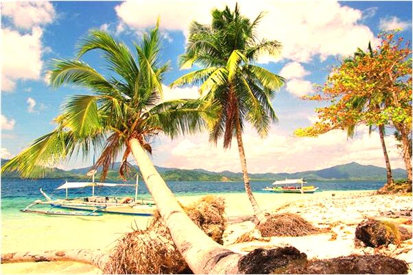 夢見撿寶特瓶子是不是好的徵兆呢_周公解夢官網