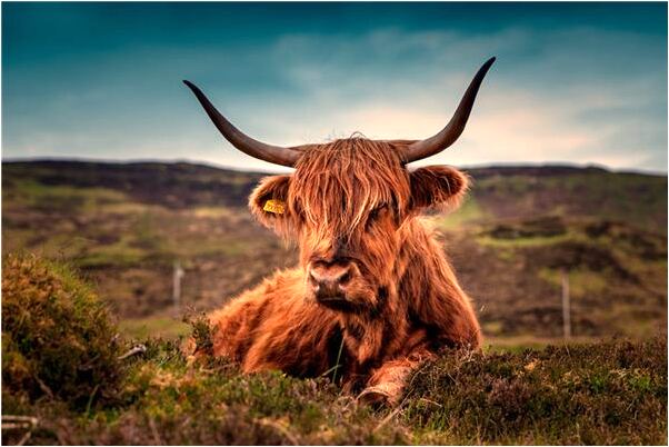 夢到了自己嘴巴歪了有什麼說法_周公解夢官網