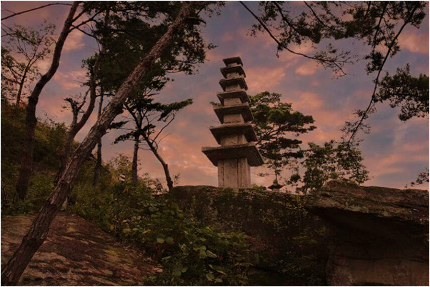 夢到我我去買魚可是沒買成是什麼預兆_周公解夢官網