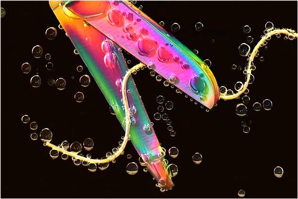 夢見我在兩個平行世界來回體驗是啥意思_周公解夢官網