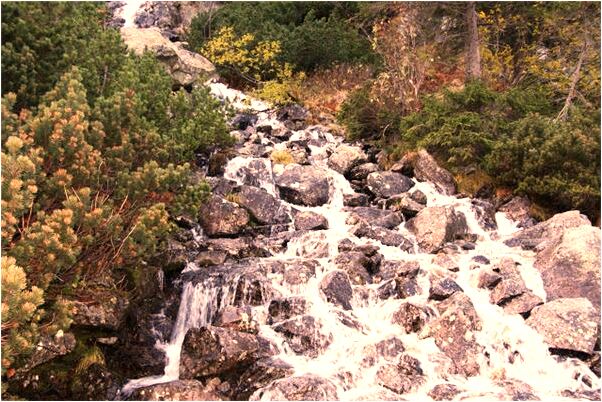 夢到了開車掉到水裡有什麼意思嗎_周公解夢官網