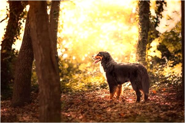 夢見男友送我很多眼鏡是什麼意思？_周公解夢官網