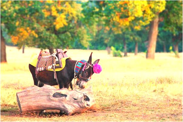 夢到了小孩活埋好不好_周公解夢官網