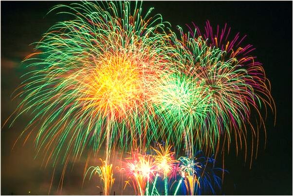 夢到母豬下了很多豬仔是什麼預兆_周公解夢官網