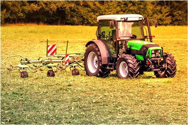 夢到了金色的蛇吃蛇是好事還是壞事_周公解夢官網