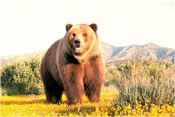 夢到了爸爸從樓上摔下會是什麼預兆_周公解夢官網