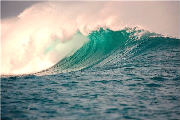 夢到被殺手集團追殺預示什麼_周公解夢官網