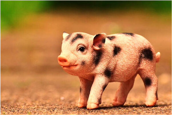 夢見自己和家人中槍是吉兆嗎?_周公解夢官網