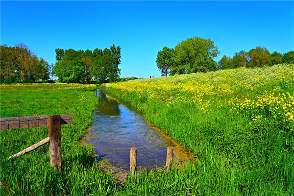 夢見過溝有什麼寓意嗎?_周公解夢