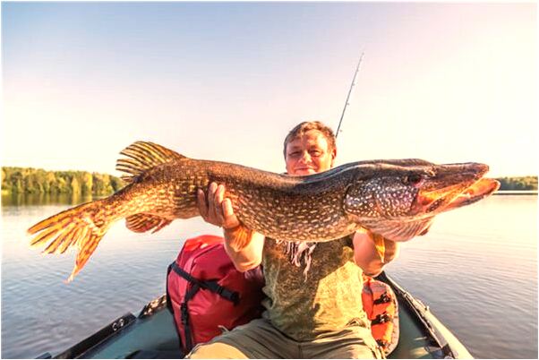 夢見朋友落水被我救起有什麼意義嗎_周公解夢官網