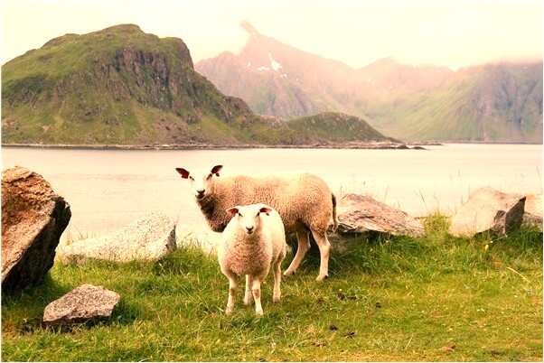 夢到了在天空行房事有什麼預兆_周公解夢官網