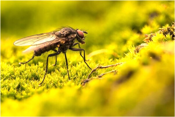 夢到去尋寶遇見殭屍是怎么回事_周公解夢官網