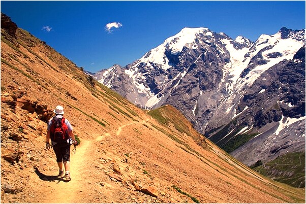 夢到看見弟弟吃牛肉預示著什麼_周公解夢官網