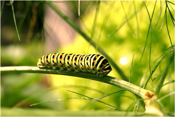 夢到了與女鬼有情會怎么樣_周公解夢官網