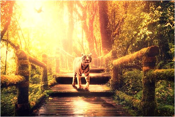 夢到了暗戀老師代表著什麼_周公解夢官網