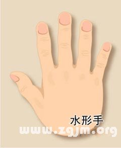 The shape of the hand fortune-telling: water type and fate of a person's character