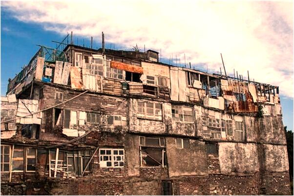 夢到了鍋里煮個小豬代表著什麼_周公解夢官網