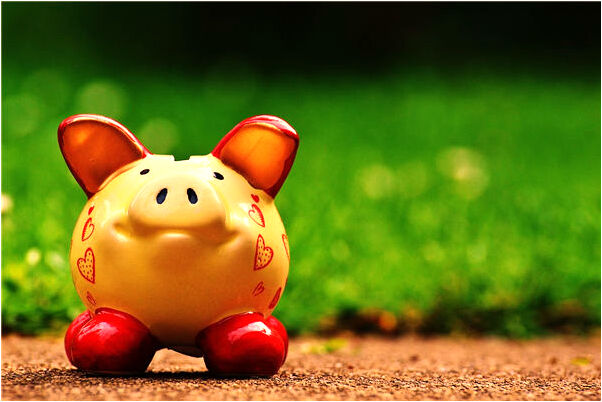 夢到了鼻子長毛然後剪了一點有什麼說法_周公解夢官網