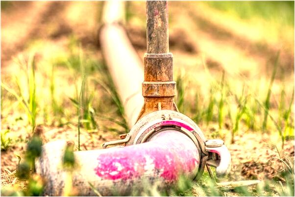 夢見別人想吃我臉上的肉有什麼預兆_周公解夢官網