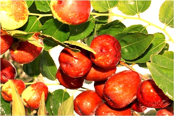 夢見走淤泥里越走越深是啥意思_周公解夢官網