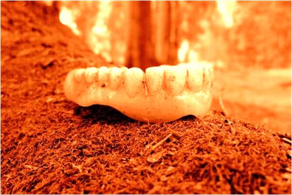 夢到父親死了又活了又死了意味什麼_周公解夢官網