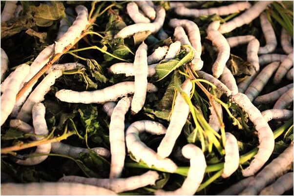 夢見被人恐怖的人追趕預兆了什麼嗎_周公解夢官網