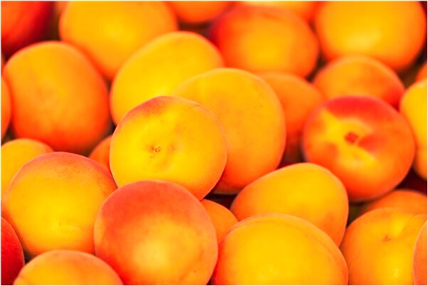 夢到了怎么改變憔悴代表什麼_周公解夢官網