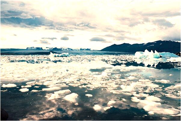 夢到朋友殺熊來吃是不是好的徵兆呢_周公解夢官網